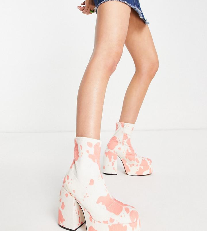 Daisy Street Exclusive Platform Heeled Boots In Pink Cow Print-multi