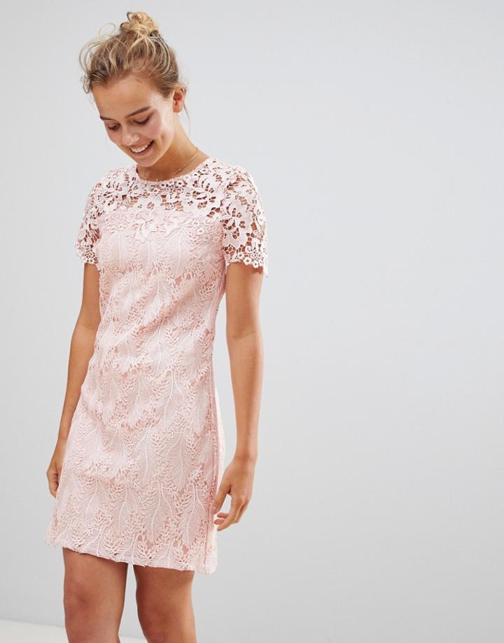 Little Mistress Short Sleeve Shift Dress - Pink