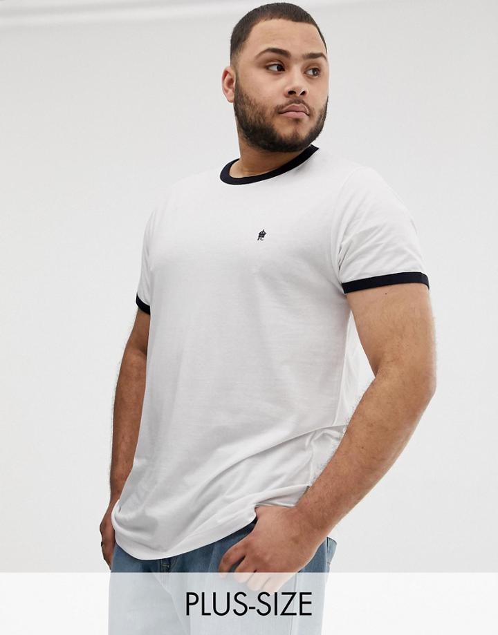 French Connection Plus Ringer T-shirt-multi