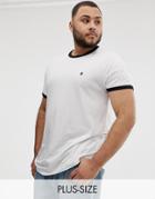 French Connection Plus Ringer T-shirt-multi