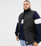Duke King Size Vest Puffer In Black With Piping - Black