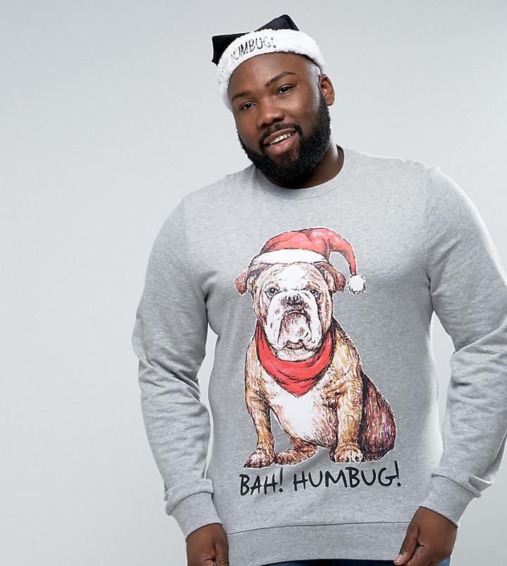 Threadbare Plus Holidays Dog Sweat - Gray