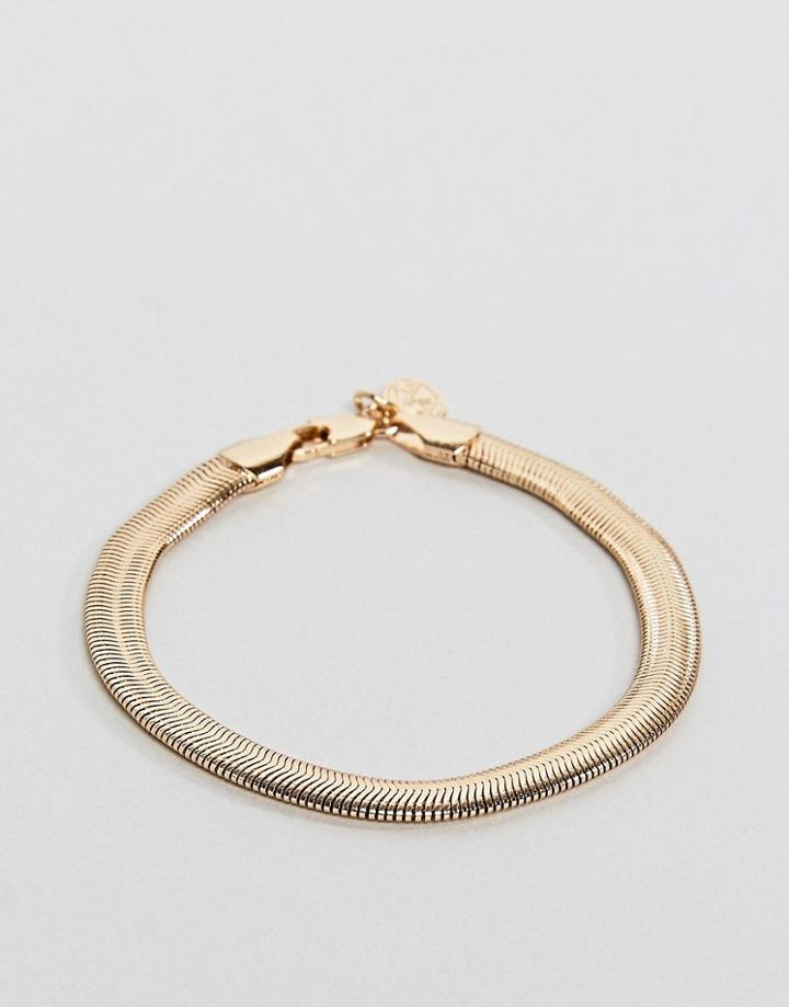 Chained & Able Snake Chain Bracelet In Gold - Gold