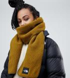 The North Face Denali Fleece Scarf In Green - Green
