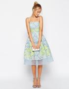 Asos Salon Premium Placed Lace And Applique Prom Dress With Organza Hem - Blue