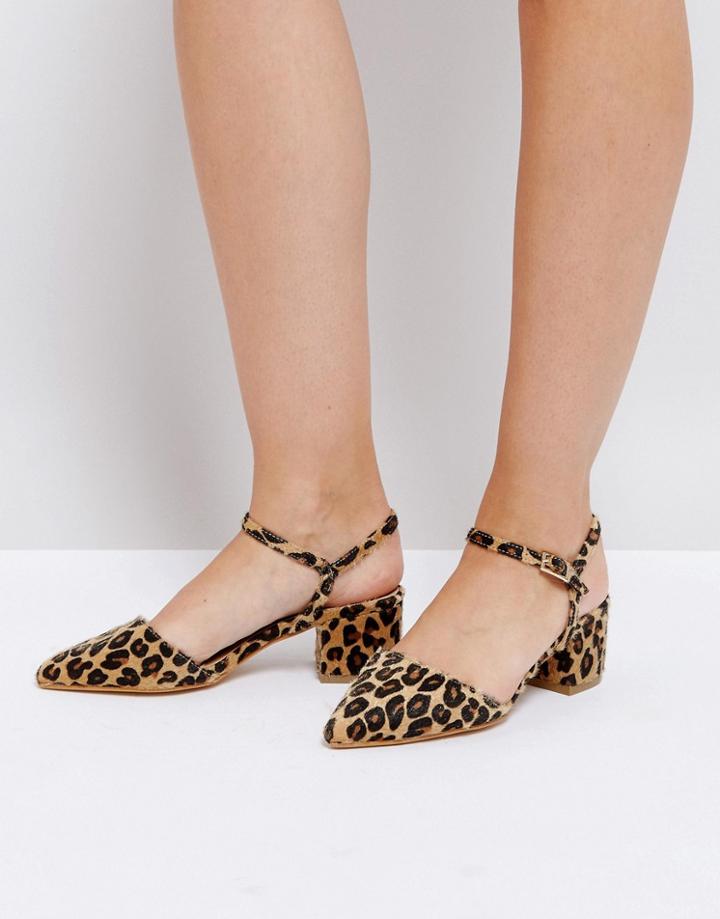 Truffle Collection Wrap Ankle Point Toe Kitten Heel Shoe - Multi