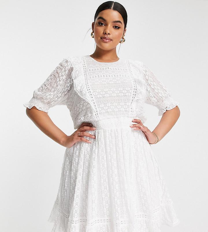 Ever New Curve Lace Mini Dress In Porcelain-white