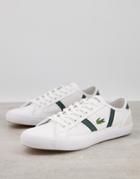 Lacoste Sideline Sneakers In White And Green