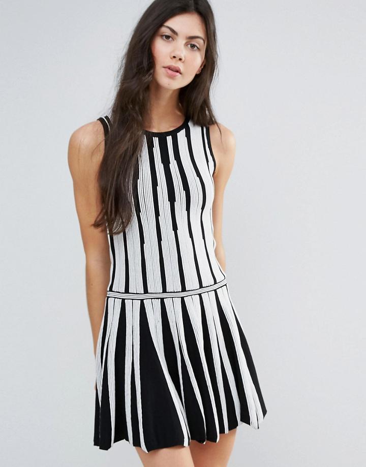 Endless Rose Monochrome Skater Dress - Black