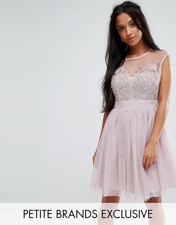 Little Mistress Petite Lace Applique Top Mini Tulle Prom Dress - Brown
