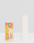 Carmex Comfort Care Nourishing Lip Balm - Watermelon Blast - Clear