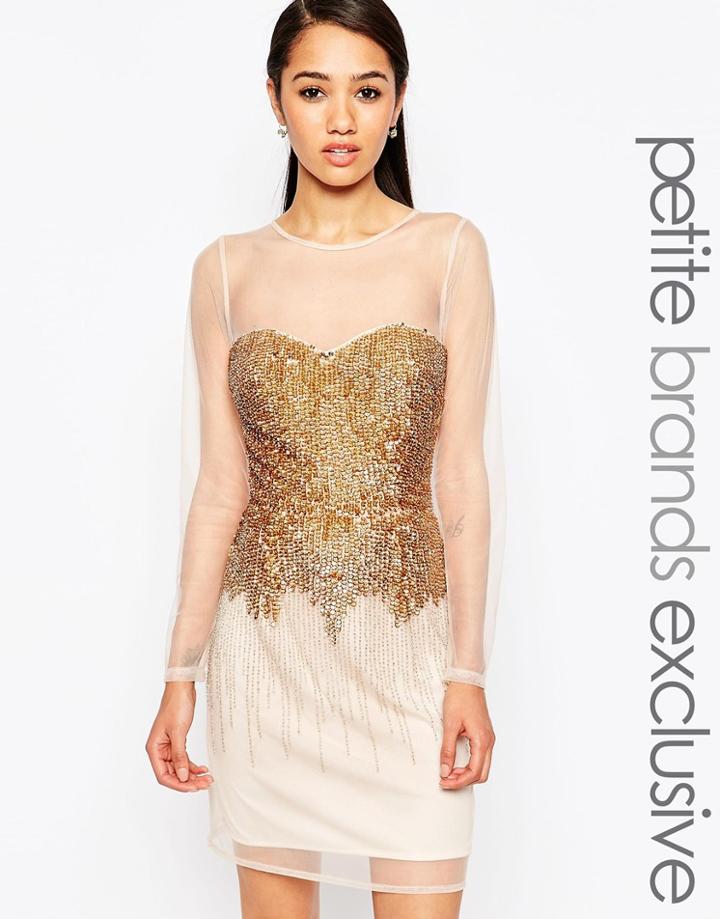 Maya Petite Sheer Body-conscious Dress With Sequins - Gold