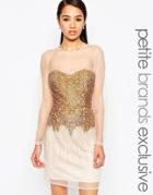 Maya Petite Sheer Body-conscious Dress With Sequins - Gold