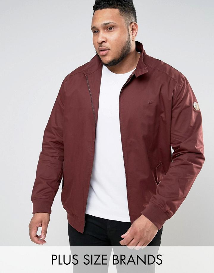 Duke Plus Harrington Jacket In Burgundy - Red