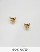 Ted Baker Cat Stud Earrings - Gold