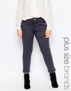 Praslin Plus Jeggings - Gray