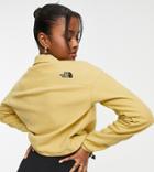 The North Face Glacier Full Zip Cropped Fleece In Tan Exclusive At Asos-brown
