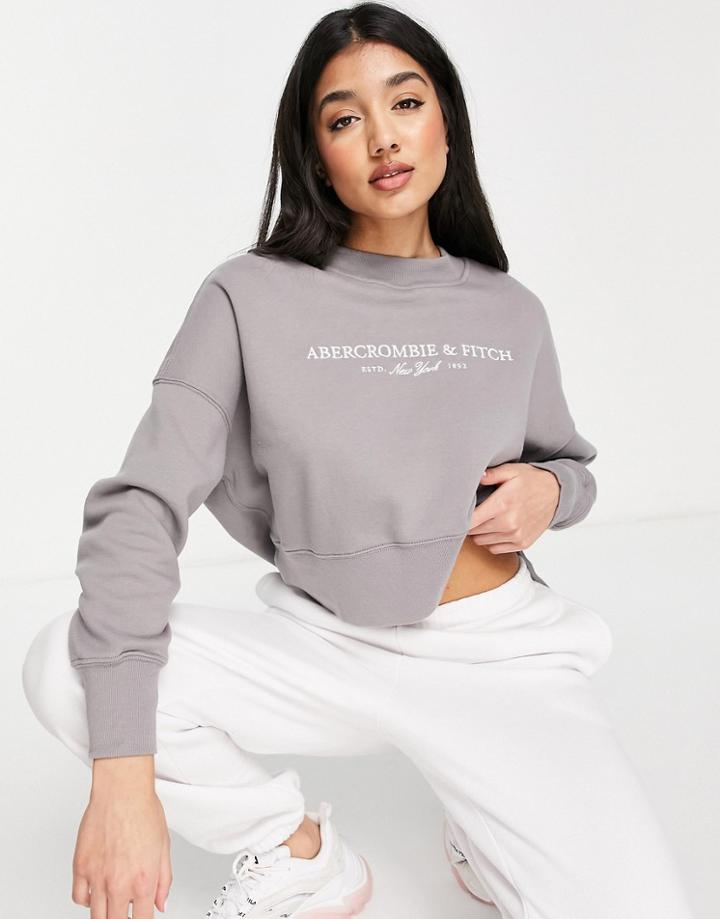 Abercrombie & Fitch Logo Sweat In Gray