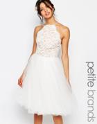 Jarlo Petite High Neck Lace Top Prom Skater Dress With Tulle Skirt - White