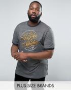 Duke Plus T-shirt With La Print In Gray Stripe - Gray
