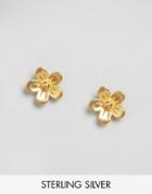 Pieces & Julie Sandlau Gold Plated Jow Earrings - Gold Plated
