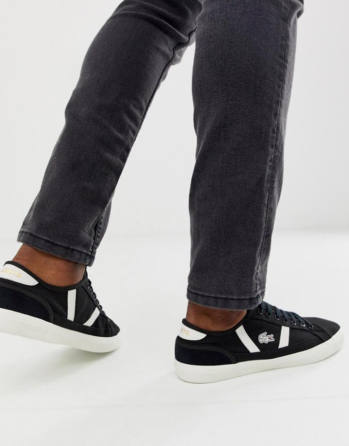 Lacoste Sideline Plimsolls In Black Canvas