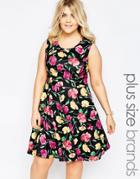Praslin Plus Size Skater Dress In Floral Print With Neck Detail