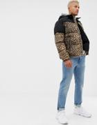 Boohooman Puffer Jacket In Leopard Print - Black