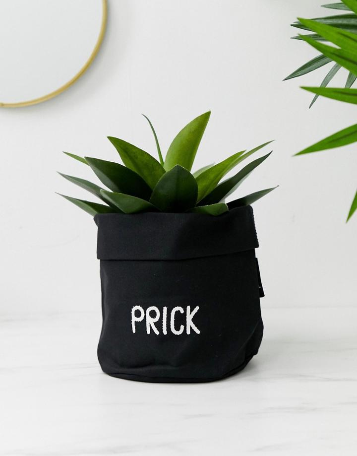 Moxon Small Prick Soft Plant Bag - Multi