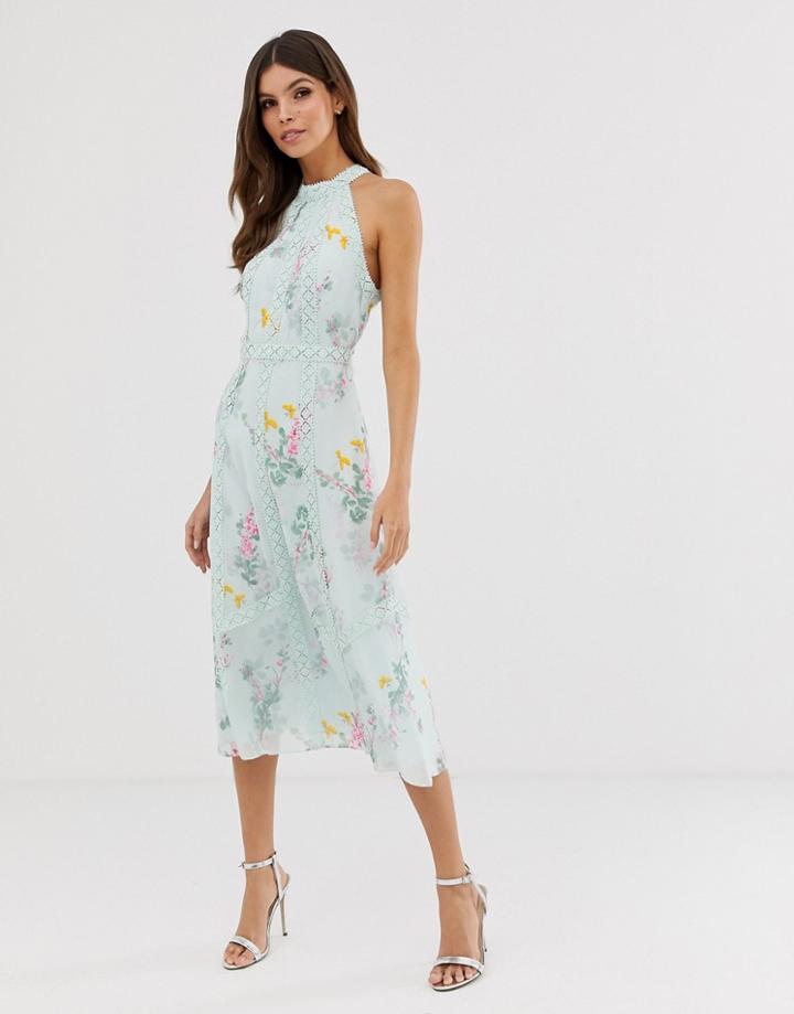 Ted Baker Pinkee Lace Insert Midi Dress In Sorbet Print-blue