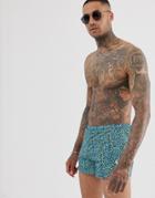 Religion Two-piece Shorts In Blue Leopard Print - Blue