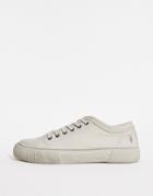 Allsaints Rigg Ramskull Low Top Canvas Sneakers In White