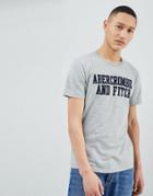 Abercrombie & Fitch Legacy Applique Script Logo T-shirt In Gray - Gray