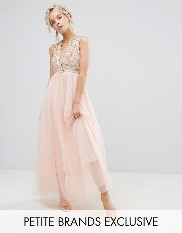 True Decadence Petite Premium Metallic Applique Top Maxi Dress With Tulle Skirt - Pink