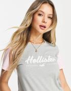 Hollister Logo T-shirt In Gray