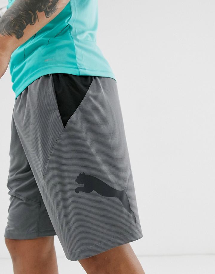 Puma Training Cat Short In Dark Gray-black