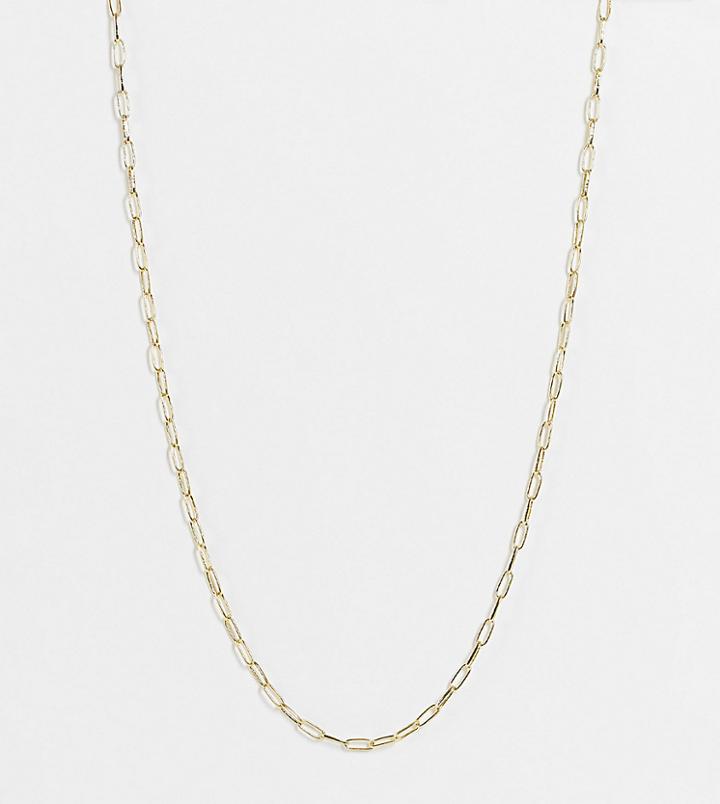 Shashi Petite Patron Short Chain Necklace In Gold Plate