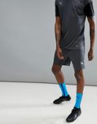 Puma Soccer Nxt Shorts In Gray 65557304 - Gray