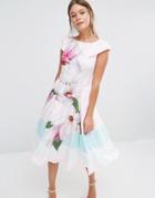 Ted Baker Bromlie Prom Dress In Pink Magnolia Print - Pink