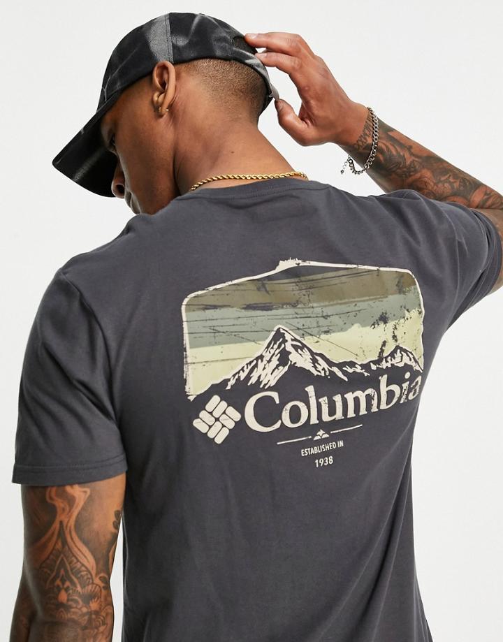 Columbia Pikewood Graphic Back Print T-shirt In Gren-green