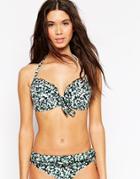 Pour Moi Daisy Padded Halter Bikini Top - Black Mix