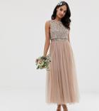 Maya Bridesmaid Sleeveless Midaxi Tulle Dress With Tonal Delicate Sequin Overlay In Taupe Blush-brown