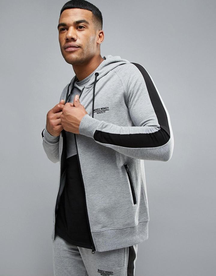 Muscle Monkey Hoodie In Gray Muscle Fit - Gray