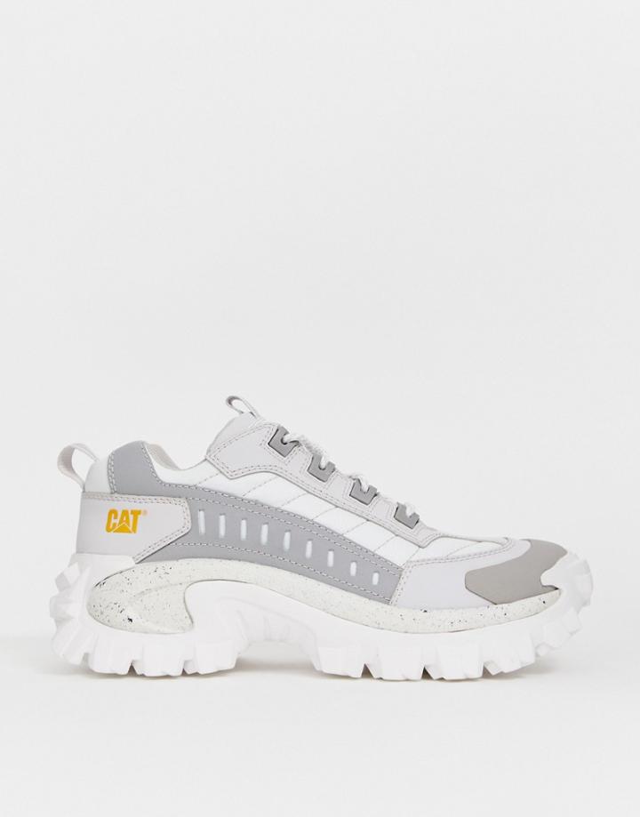 Cat Intruder Chunky Sneakers In Gray - Gray