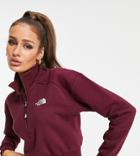 The North Face 1/4 Zip Sweatshirt In Burgundy Exclusive At Asos-red