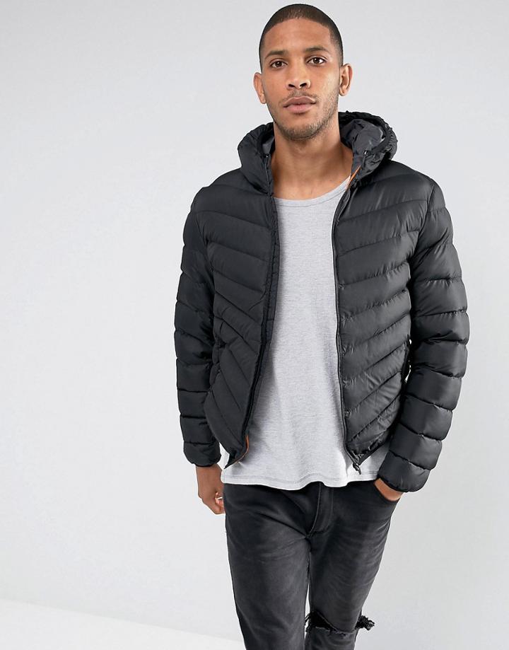 Brave Soul Hooded Padded Jacket - Black