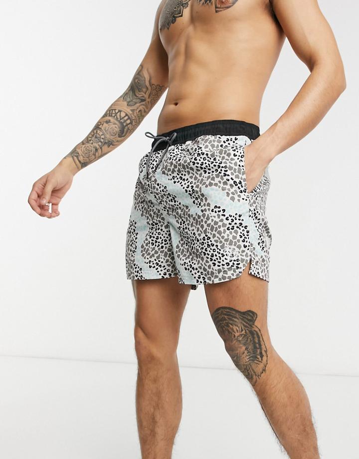 Jack & Jones Intelligence Animal Print Swim Short In Gray