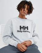 Helly Hansen Crew Neck Sweater In Gray - Gray