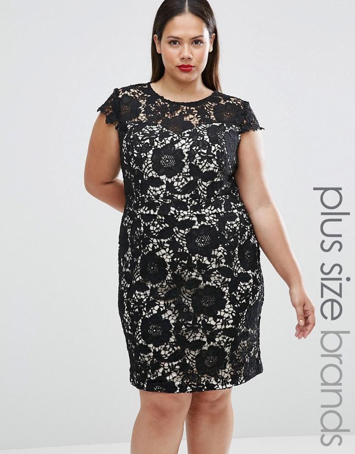 Lovedrobe Plus Lace Dress With Contrast Underlay - Black