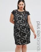 Lovedrobe Plus Lace Dress With Contrast Underlay - Black